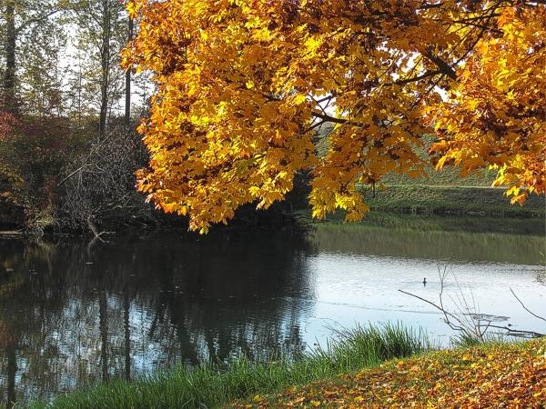 herbst taubergiessen