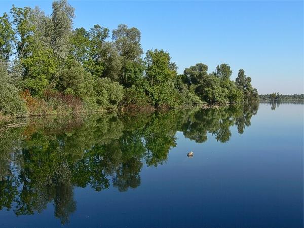 flusslandschaft taubergiessen