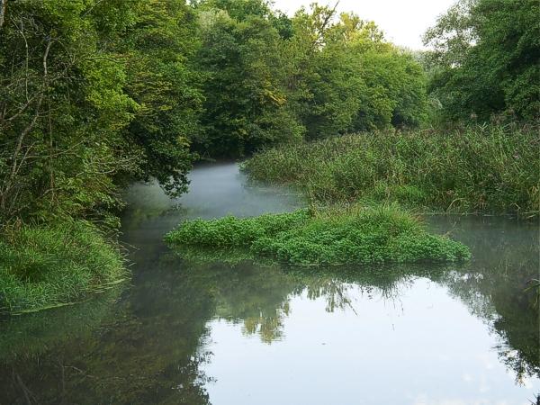 landschaft taubergiessen